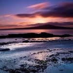 Avatar Arturo Zúñiga